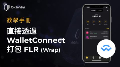 Wrap FLR via WalletConnect_zh