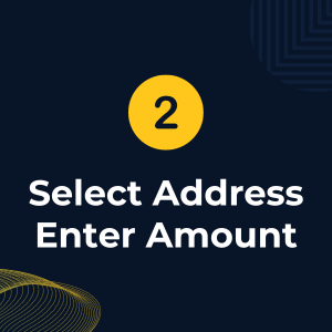 2. Select Address & Enter Amount
