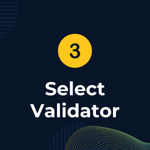 3. Select Validator